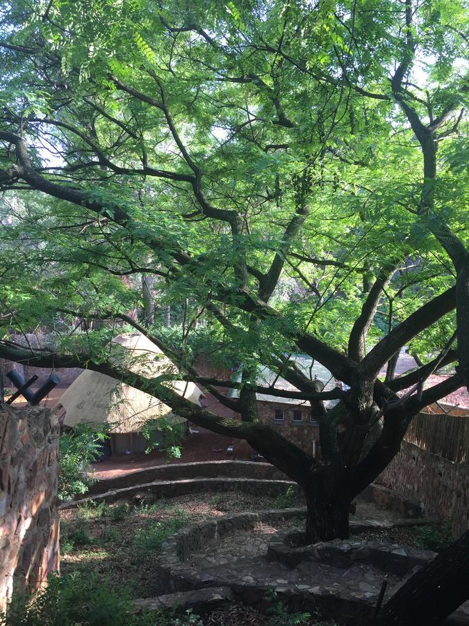 Rain Forest Boutique Camp Krugersdorp Εξωτερικό φωτογραφία